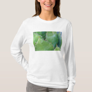 T-shirt N.A., États-Unis, Arizona, Tucson, Sonora Desert
