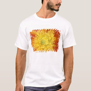T-shirt N.A., États-Unis, Arizona, Tucson, Sonora Desert 