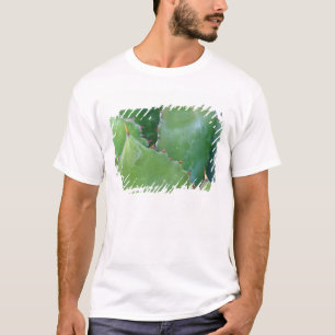 T-shirt N.A., États-Unis, Arizona, Tucson, Sonora Desert