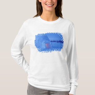 T-shirt NA, Canada, Manitoba, Churchill. Igloo arctique