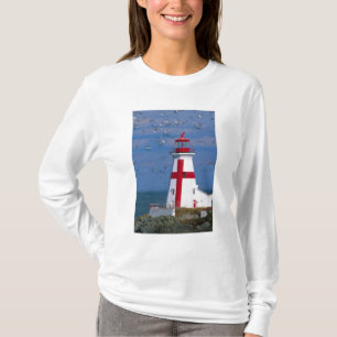T-shirt NA, Canada, Nouveau-Brunswick, île Campobello.8