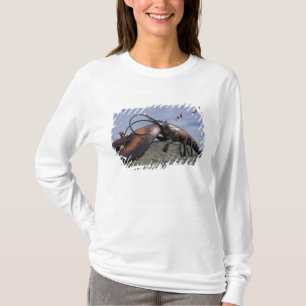 T-shirt NA, Canada, Nouveau-Brunswick, Shediak, Monde