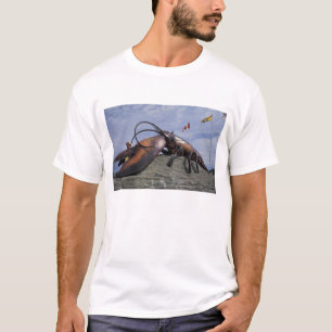 T-shirt NA, Canada, Nouveau-Brunswick, Shediak, Monde