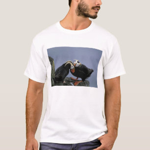 T-shirt NA, États-Unis, Alaska, mer de Béring, Pribilofs.