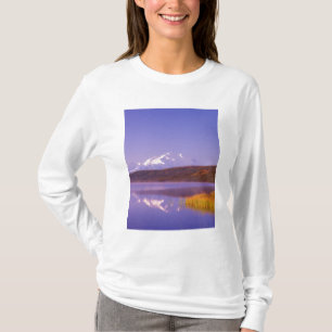 T-shirt NA, États-Unis, Alaska, Parc national Denali, Wond