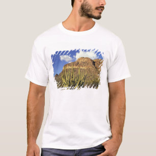 T-shirt NA, États-Unis, Arizona. Organ Pipe Cactus Nationa