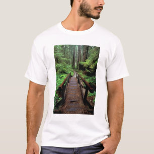 T-shirt NA, États-Unis, Californie, Jedidiah Smith Redwood