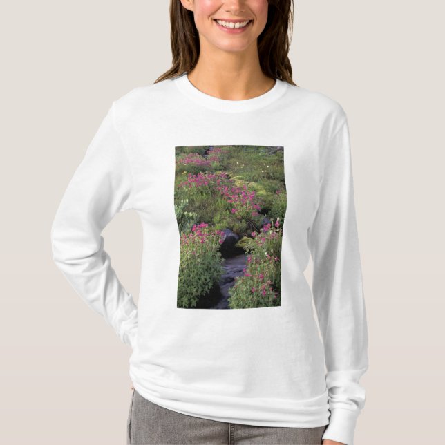 T-shirt NA, États-Unis, Washington, Mt Rainier NP, Pink (Devant)