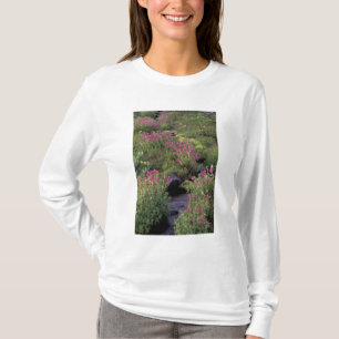 T-shirt NA, États-Unis, Washington, Mt. Rainier NP, rose