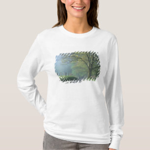 T-shirt NA, USA, Tennessee, Cades Cove, Super Smoke