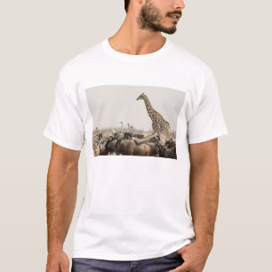 T-shirt Namibie, parc national d'Etosha. Une girafe solita
