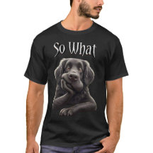 N'arrêtez pas dachshund, mignon chien propriétaire
