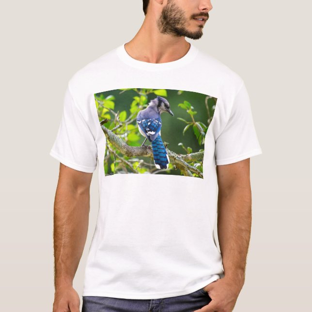 T-shirt Nature Photographie Shy Blue Jay Vêtements Cadeaux (Devant)