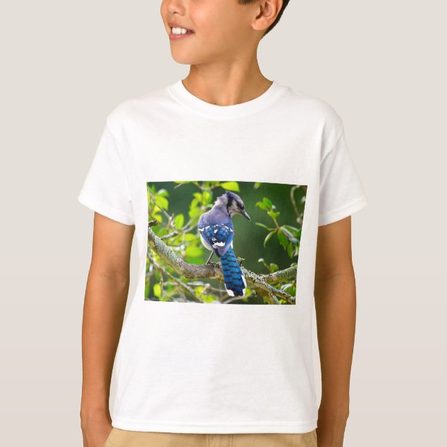 T-shirt Nature Photographie Shy Blue Jay Vêtements Cadeaux (Devant)