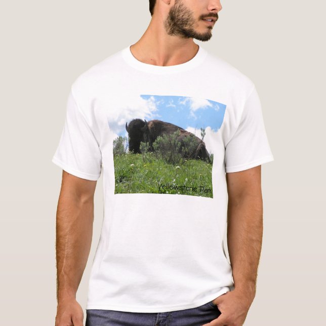 T-shirt Ne dérangez pas (Devant)