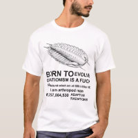 NÉ POUR ÉVOLUER LE CRÉATIONISME EST UN FCK