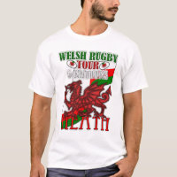 Neath - rugby de Gallois 6 nations visite, dragon