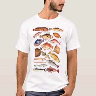 T-shirt newartsweb - tant de poissons, tellement peu