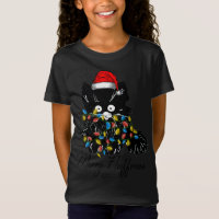 Noël père Noël fée de chat lumières Noël hiver