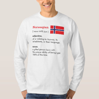 T-shirt Norvigen Definition Tee