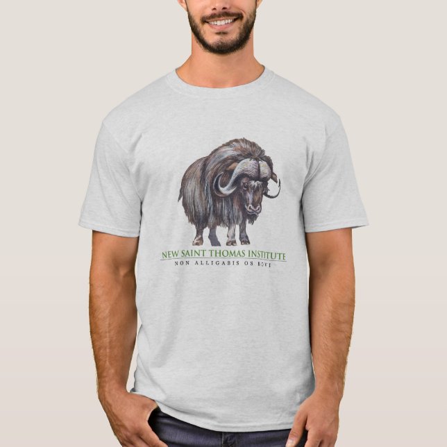 T-shirt Nouvel institut de Thomas de saint (Devant)