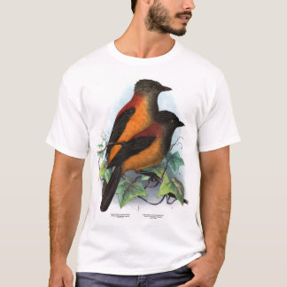 T-shirt Nouvelle-Guinée : Deux espèces de Pitohui