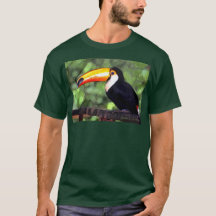 Obscurité de "toucan"
