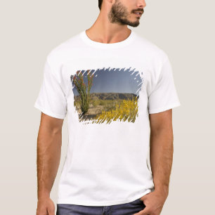T-shirt Ocotillo et séné du désert