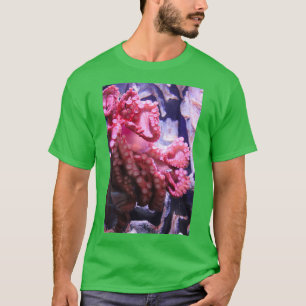 T-shirt Octopus tenant une jarre à l'aquarium du Tennessee