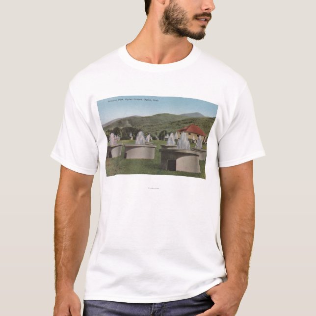 T-shirt Ogden, UtahView de ParkOgden artésien, Utah (Devant)