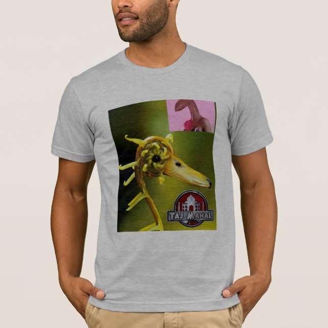 T-shirt Oie de printemps avoir-jaillie (Devant)