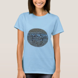 T-shirt Oies du Canada sur le réservoir de Green Lane