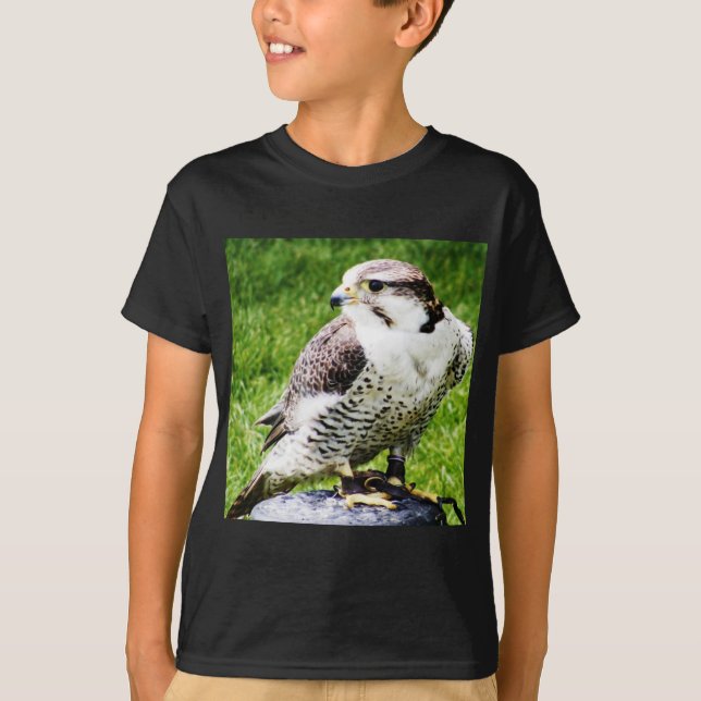 T-shirt Oiseau de faucon de la proie #1-peregine (Devant)