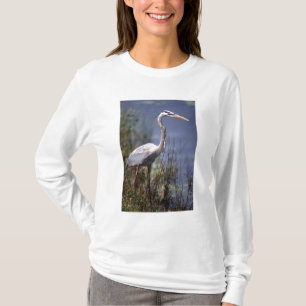 T-shirt Oiseau du Grand Héron bleu