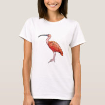 Oiseau Ibis Scarlet