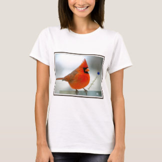 T-shirt Oiseau rouge cardinal