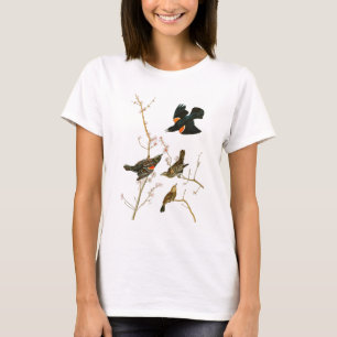 T-shirt Oiseaux de John Audubon de merle de marais de