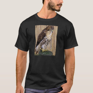 T-shirt Oiseaux sauvages : Faucon Rouge-Coupé la queue