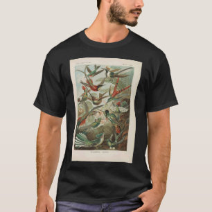T-shirt On With the Show publicité dans The Film Daily Jan