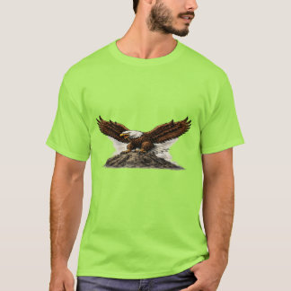 T-Shirt or Tee-shirt