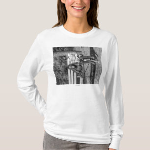 T-shirt Orang-outan et garçon dans la photographie