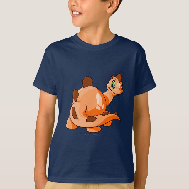 T-shirt Orange de Chomby (Devant)