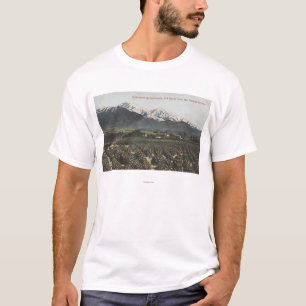 T-shirt Orangeraies avec vieux Baldy Mt dans la distance