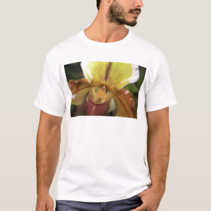 T-shirt Orchidée