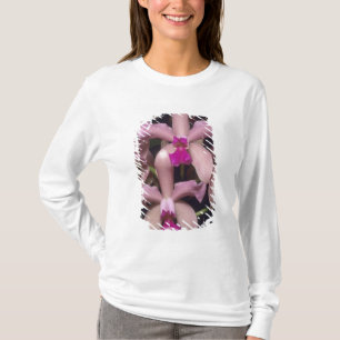 T-shirt Orchidée, (Cattleya amethystoglossa), Est