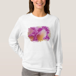 T-shirt Orchidée hybride en gros plan, Delray Beach, Flori