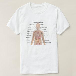 T-shirt Organes internes Anatomie du corps humain