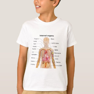 T-shirt Organes internes importants dans le diagramme de