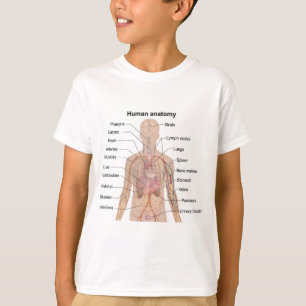 T-shirt Organes internes Organes Corps humain Anatomie Gra