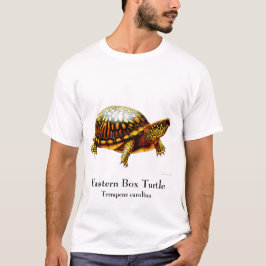 T-shirt oriental de tortue de boîte